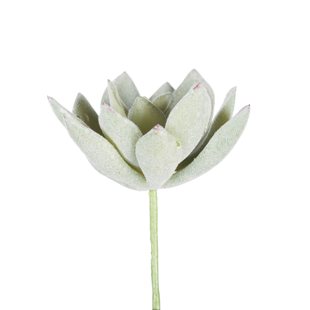 FE170601-6 4 in. Artificial Green & White Echeveria Pick  6 per pack