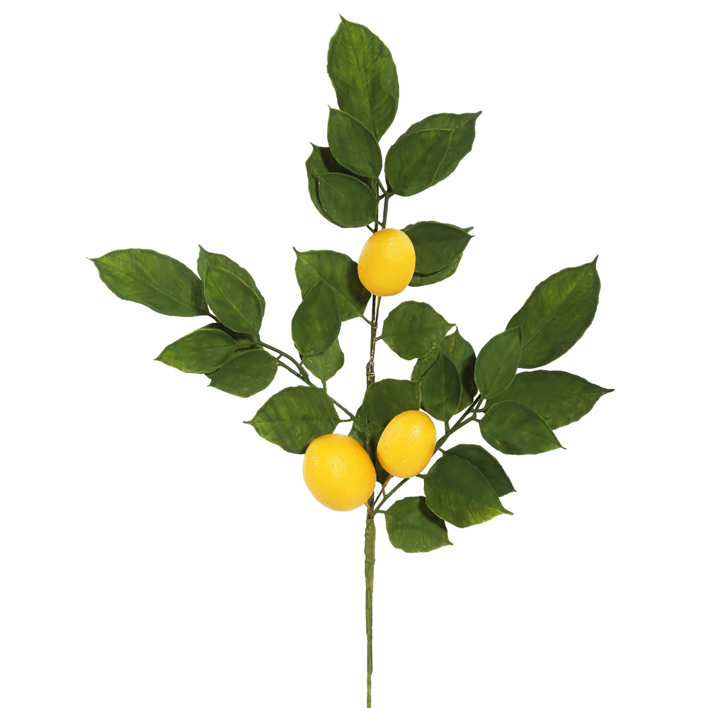 20 in. Artificial Green & Yellow Salal Leaf Lemon Sprays, 4 per Pack