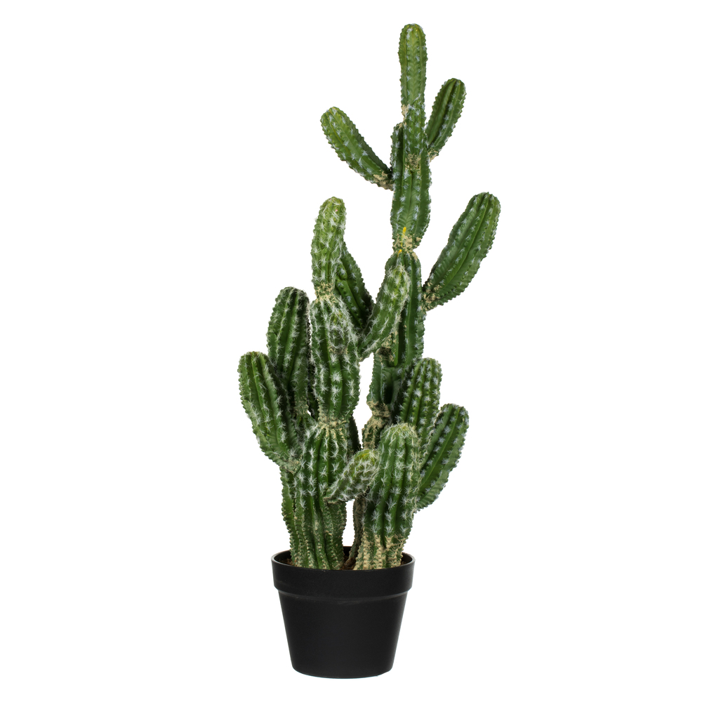 31 in. Green Potted Cactus Plastic Planter Pot