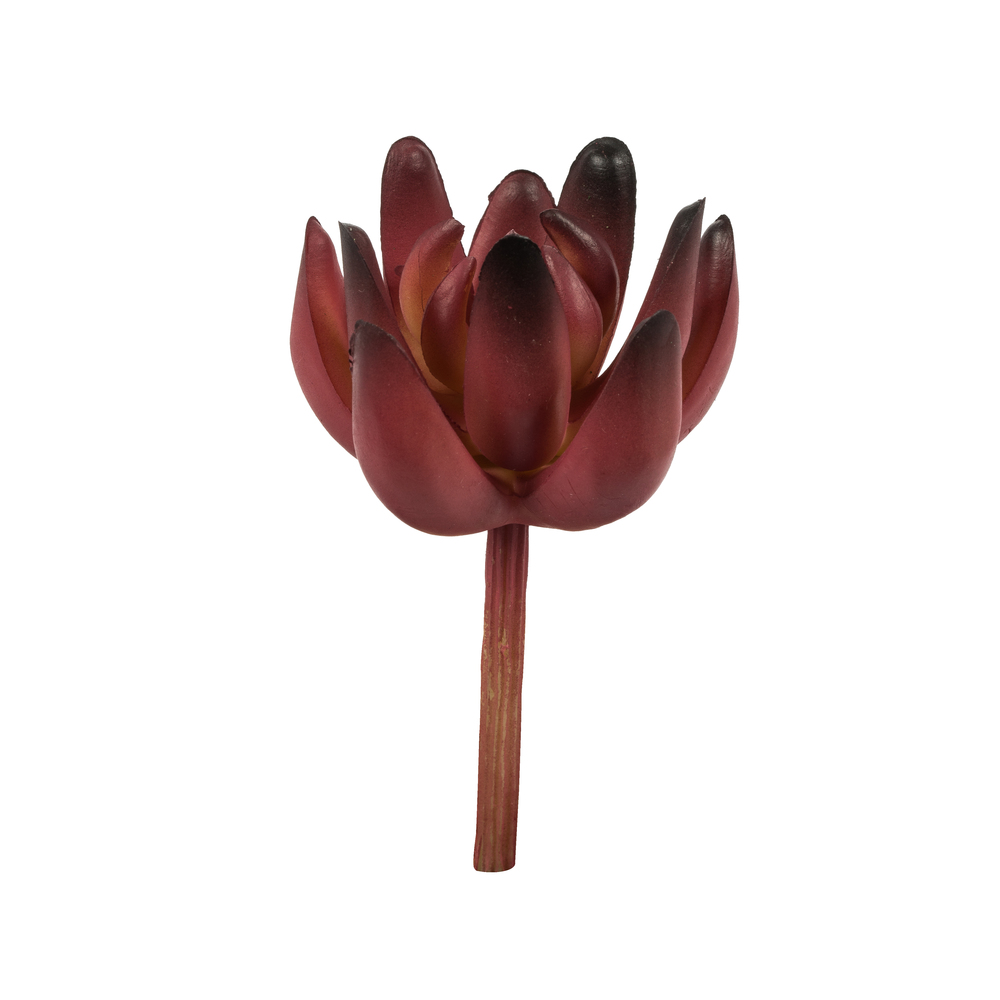 FO193004 4 in. Red & Grey Succulent Pick Assortment Set