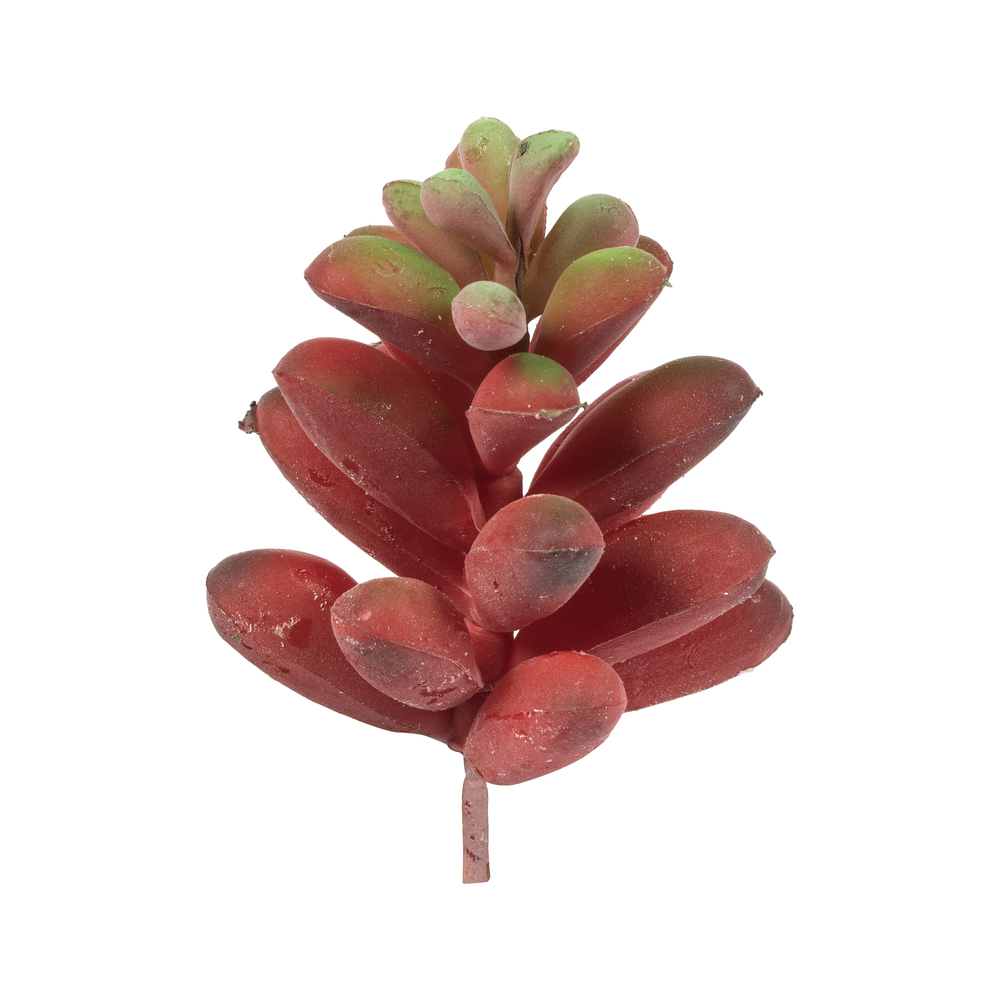 4 in. Red & Green Succulent Pick Assortment