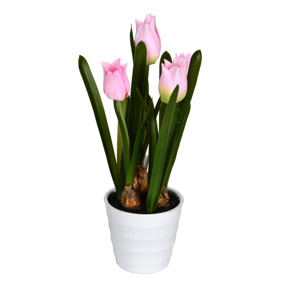 10 in. Pink Tulips in White Potted Tulip