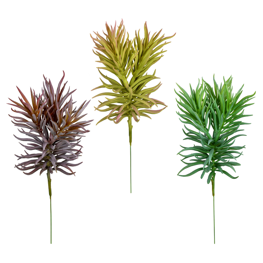 8 in. Green  Grey & Purple Succulent Assortment