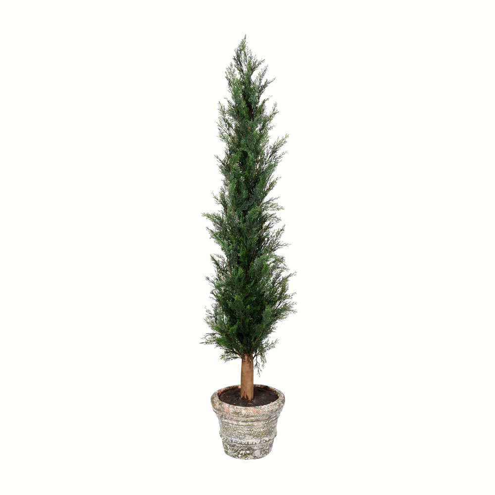 48 in. Potted Cedar Tree with Paper Pot