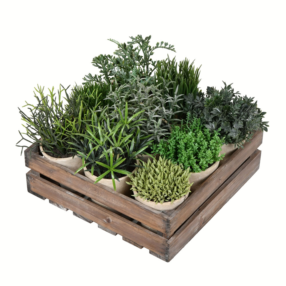 8 in. Potted Garden Grass