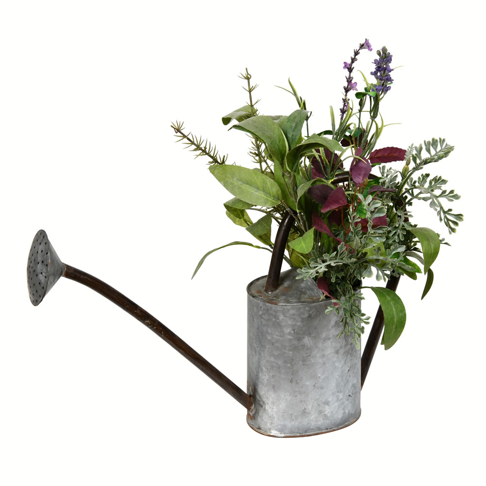 16.5 in. Potted Herb in Water Can