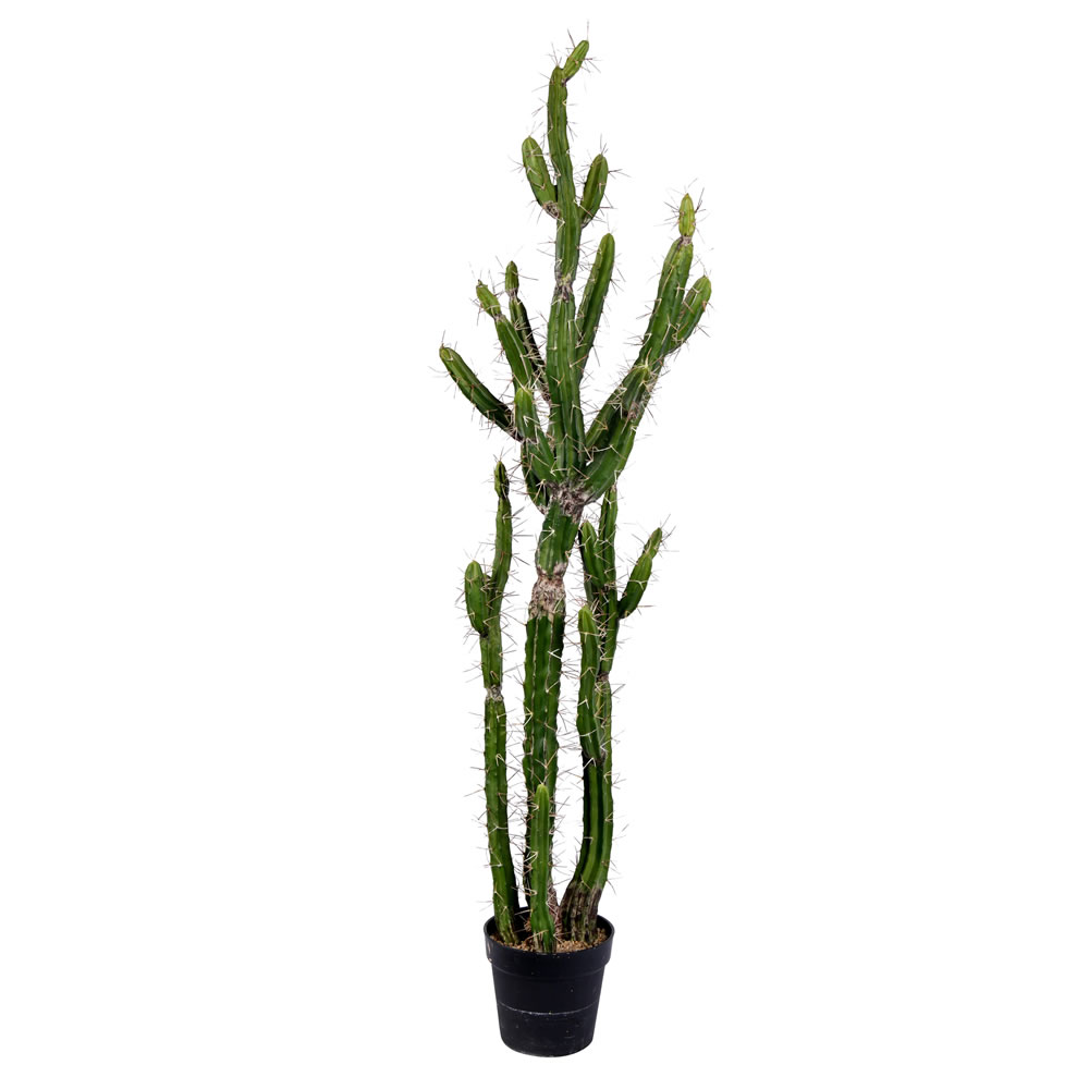 56 in. Green Potted Cactus Plastic Planter Pot