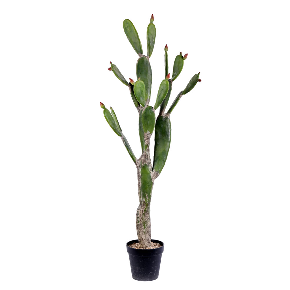 57 in. Green Potted Cactus Plastic Planter Pot