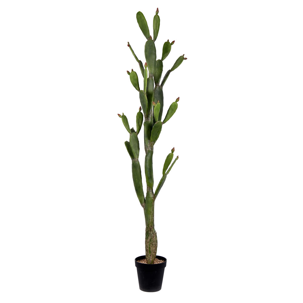 80 in. Green Potted Cactus Plastic Planter Pot