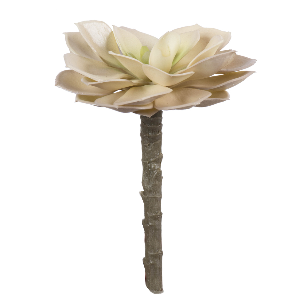 FE190705 5 in. Green Succulent Pick