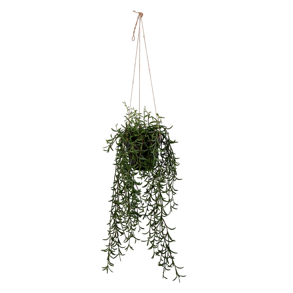 22 in. Green Grass Plant in Hanger Pot