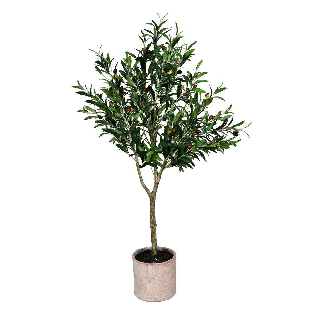 4 ft. Green Potted Olive Tree in Pot