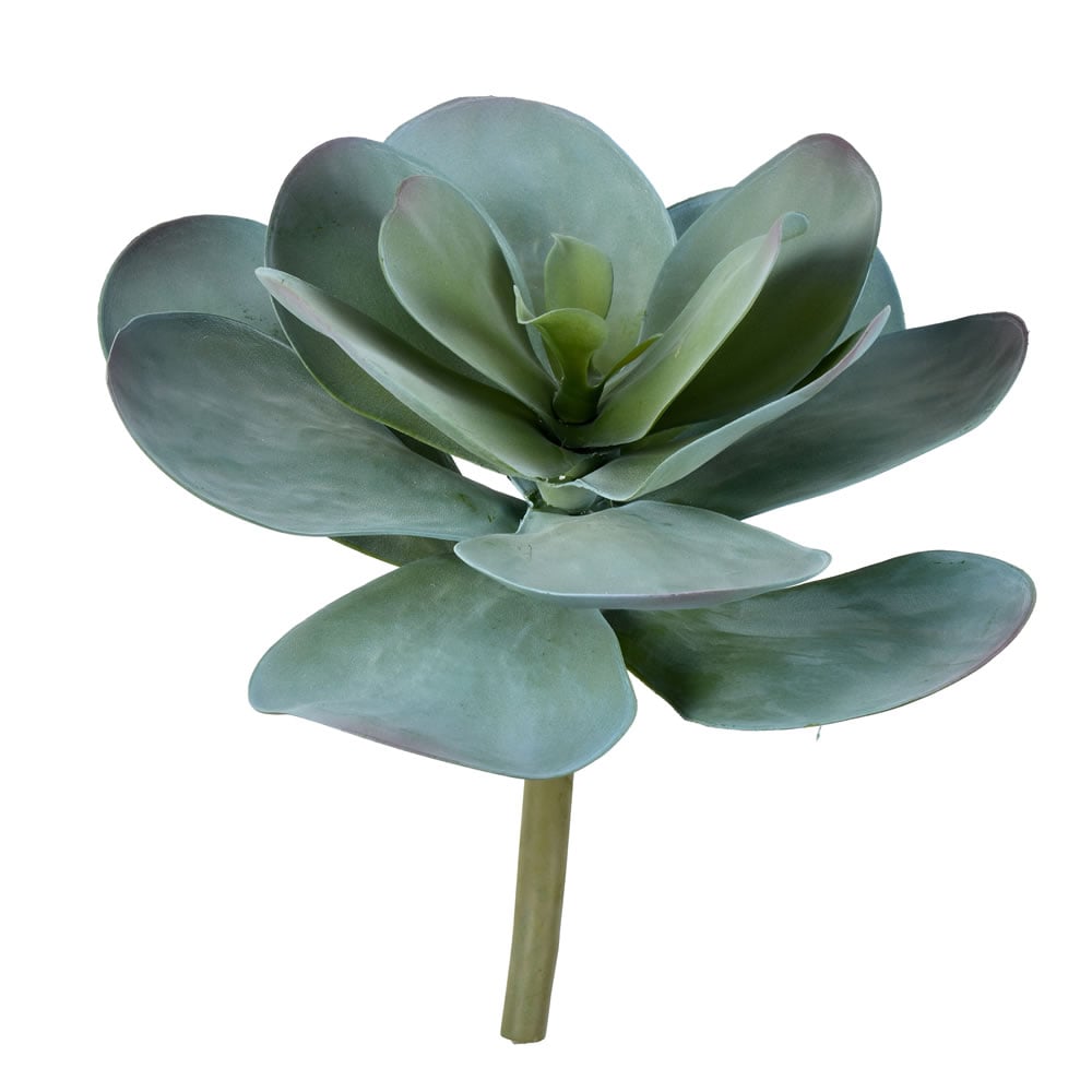 VICKERMAN