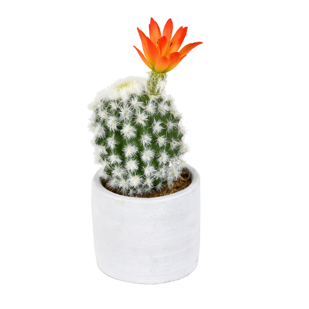 9 in. Green Potted Cactus Plastic Planter Pot