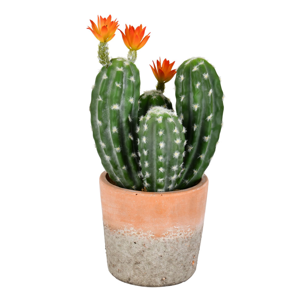 14 in. Green Potted Cactus Plastic Planter Pot