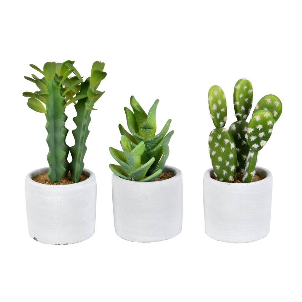7 in. Assorted Green Potted Cactus Plastic Planter Pot - Set of 3