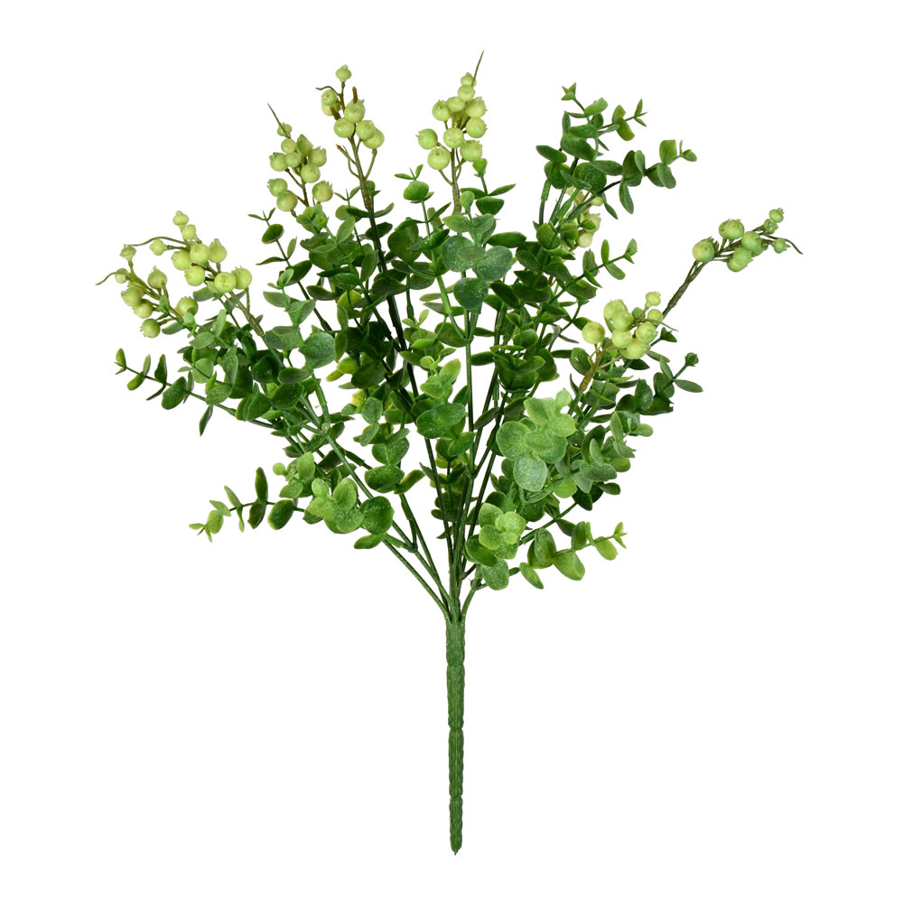 14.5 in. Light Green Money Leaf Bush