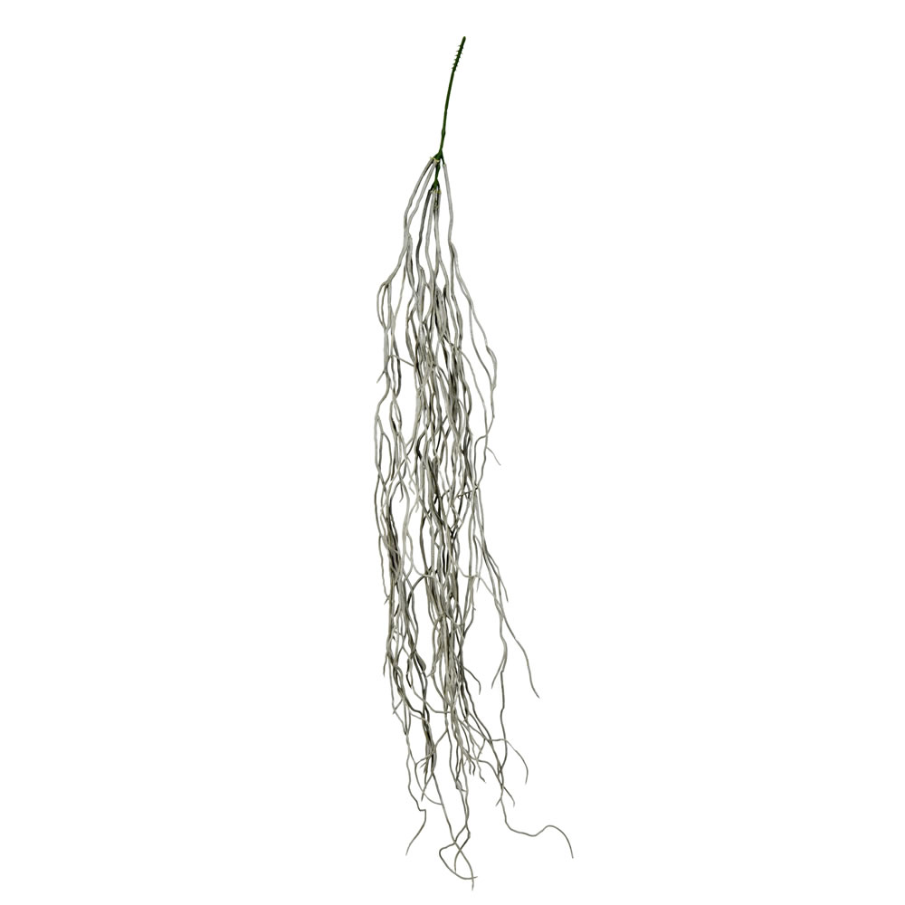 37 in. Grey Trailing Succulent Bush
