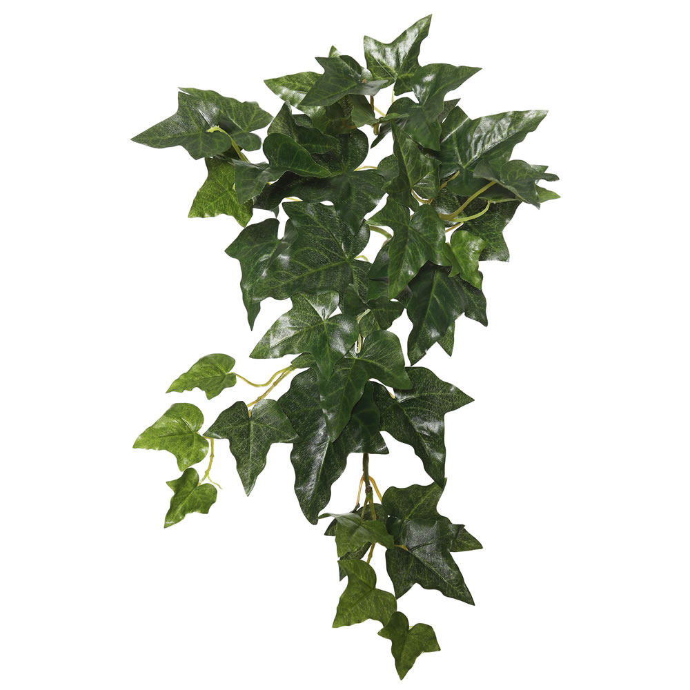 18 in. Green English Ivory Hanging Bush