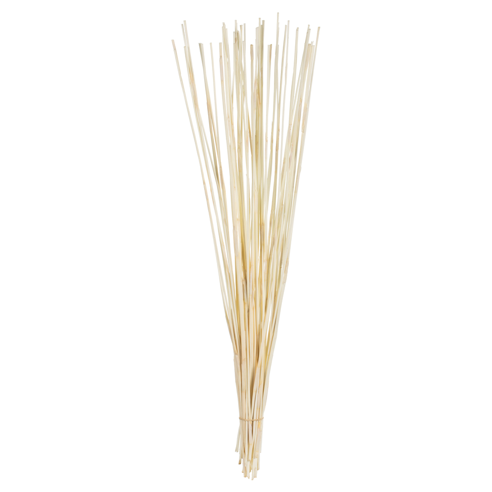 40-42 in. Bleached Elephant Reed - 10 oz Bundle