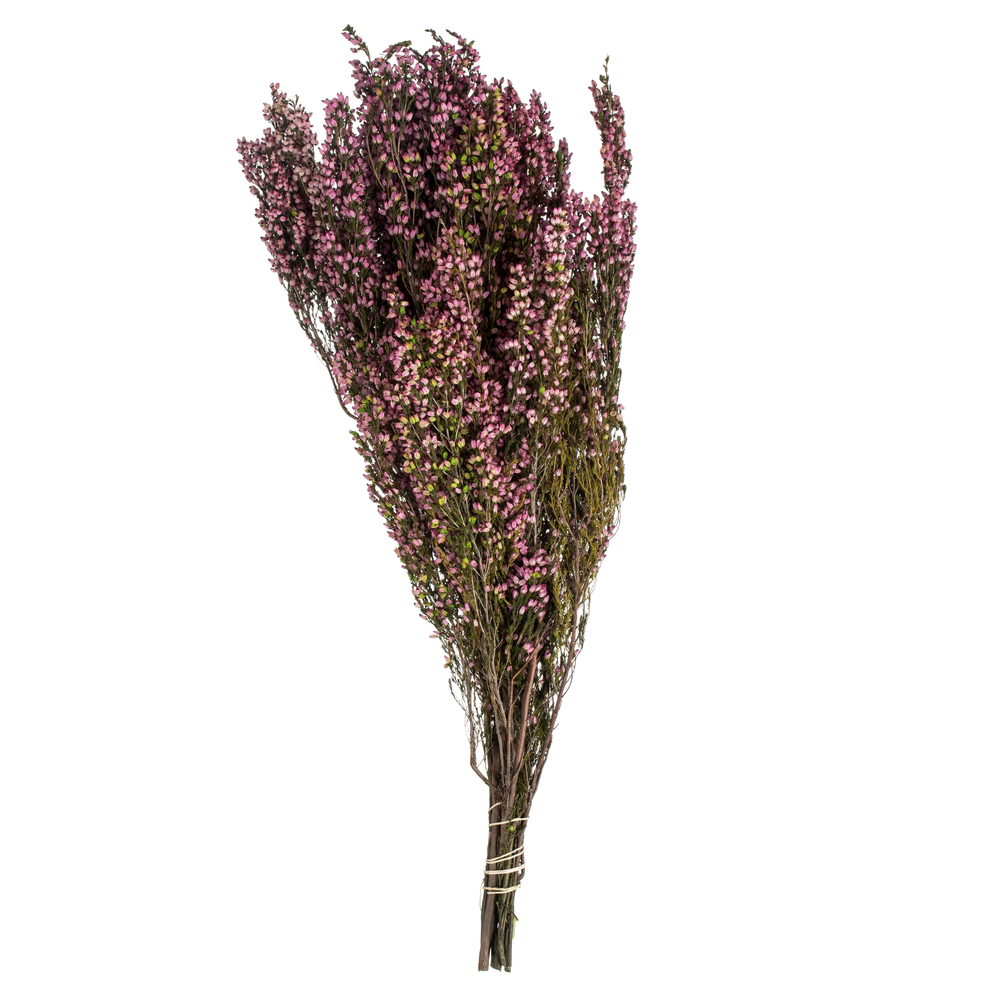 18-20 in. Pink Heather Erica with 4-5 oz Bunch