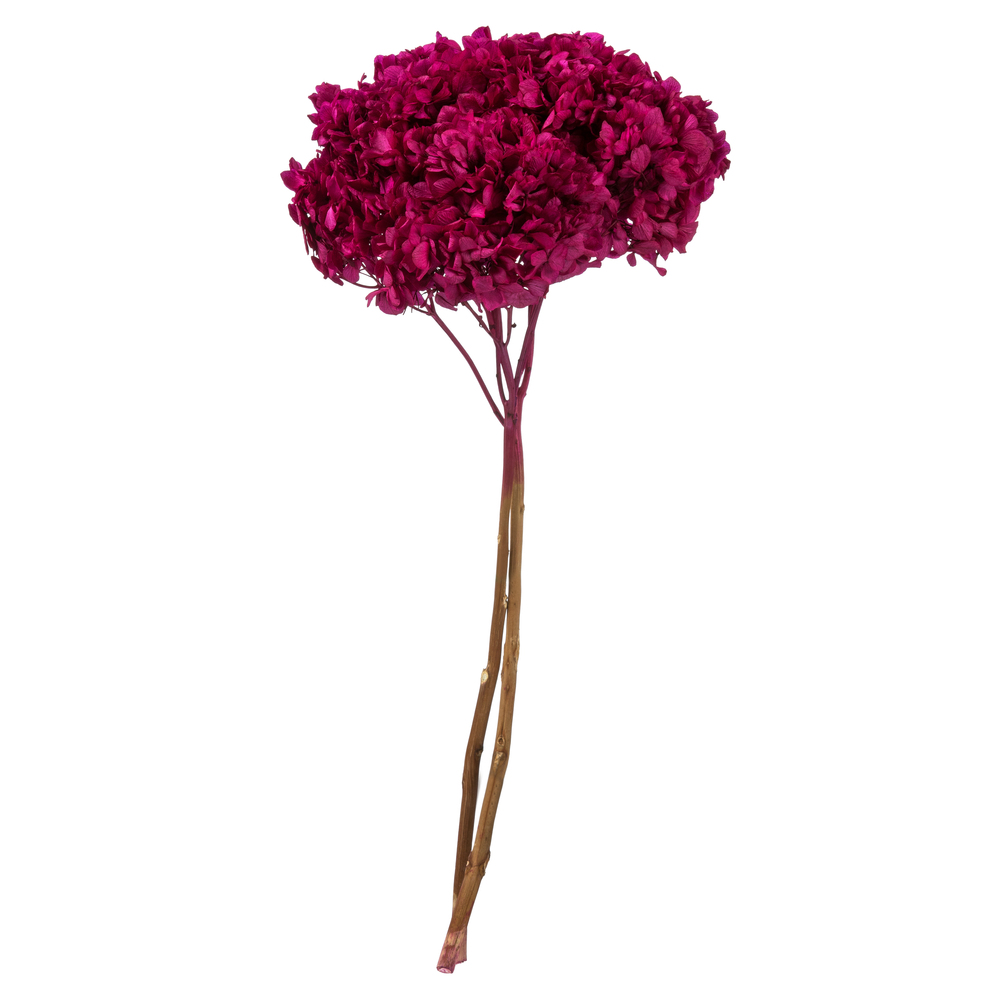 15-18 in. Merlot Hydrangea Stems