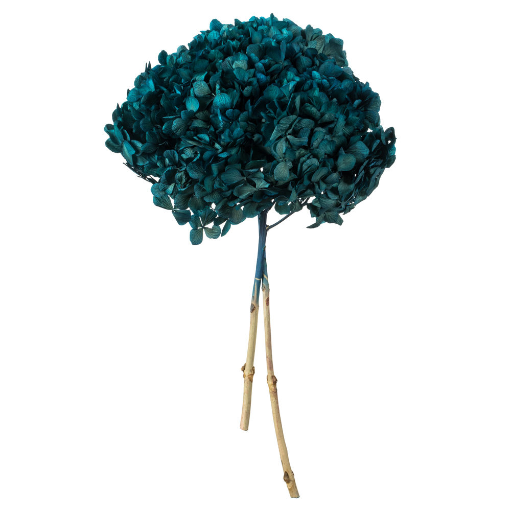 15-18 in. Blue Hydrangea Stems