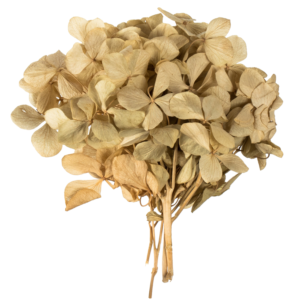 10 x 3 x 21 in. Tray Natural Hydrangea with Vase