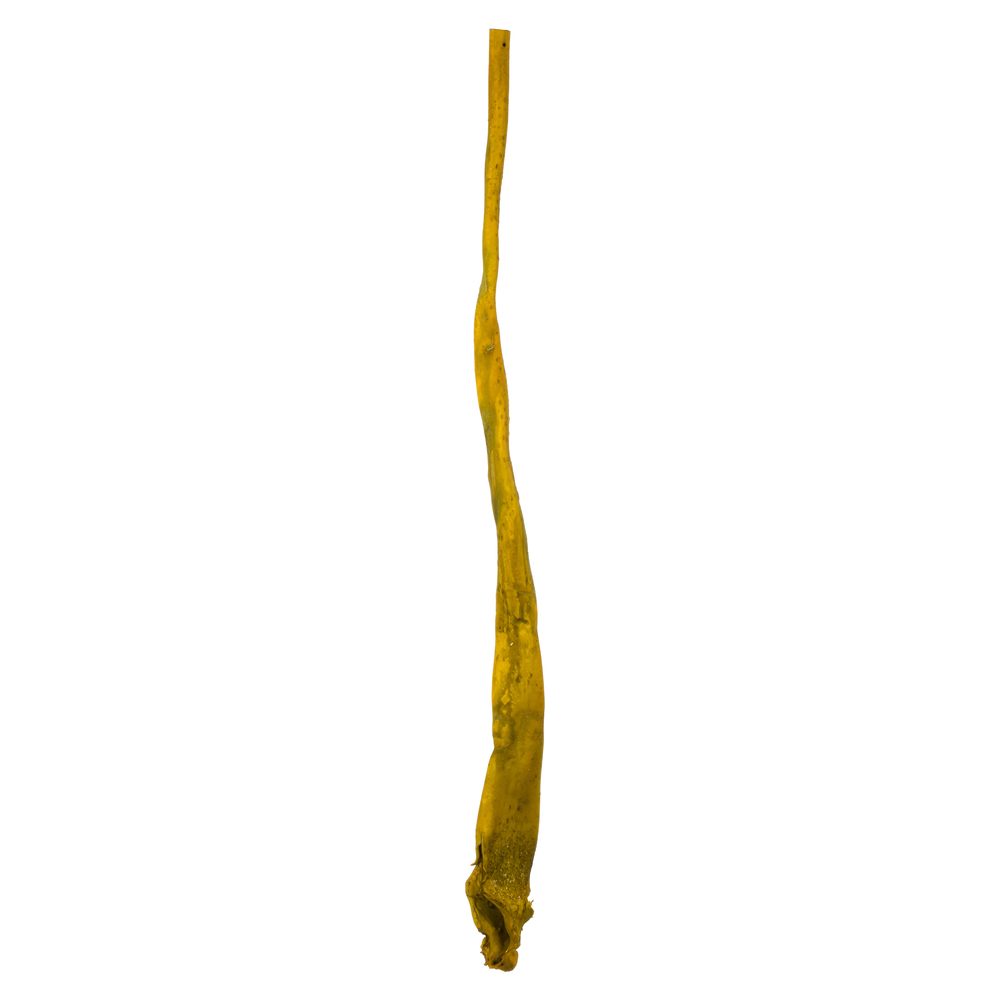 36-38 in. Basil Sea Kelp Supplement