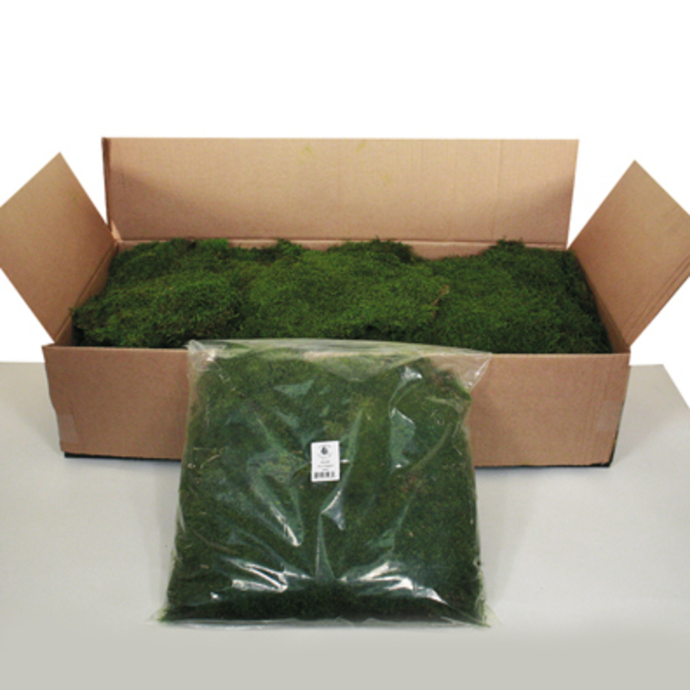 6.6 lbs Bulk Green Moss Sheet