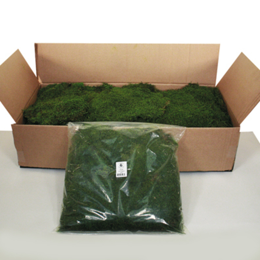 1.1 Bag Green Moss Sheet