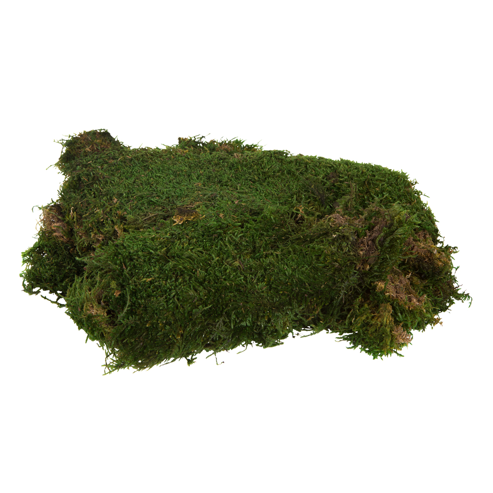 8 oz Green Moss Sheet Bag