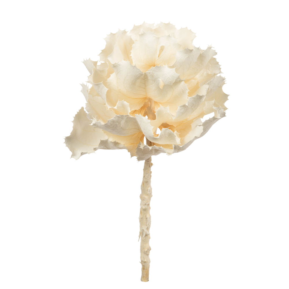 8 in. Bleached Queen Flower Stems
