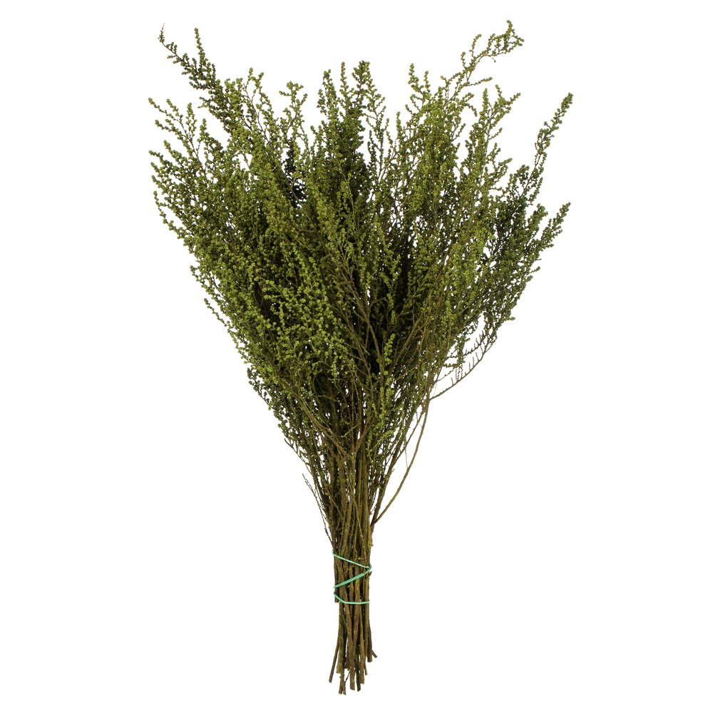 14 in. Oasis Green Stoebe Bundle