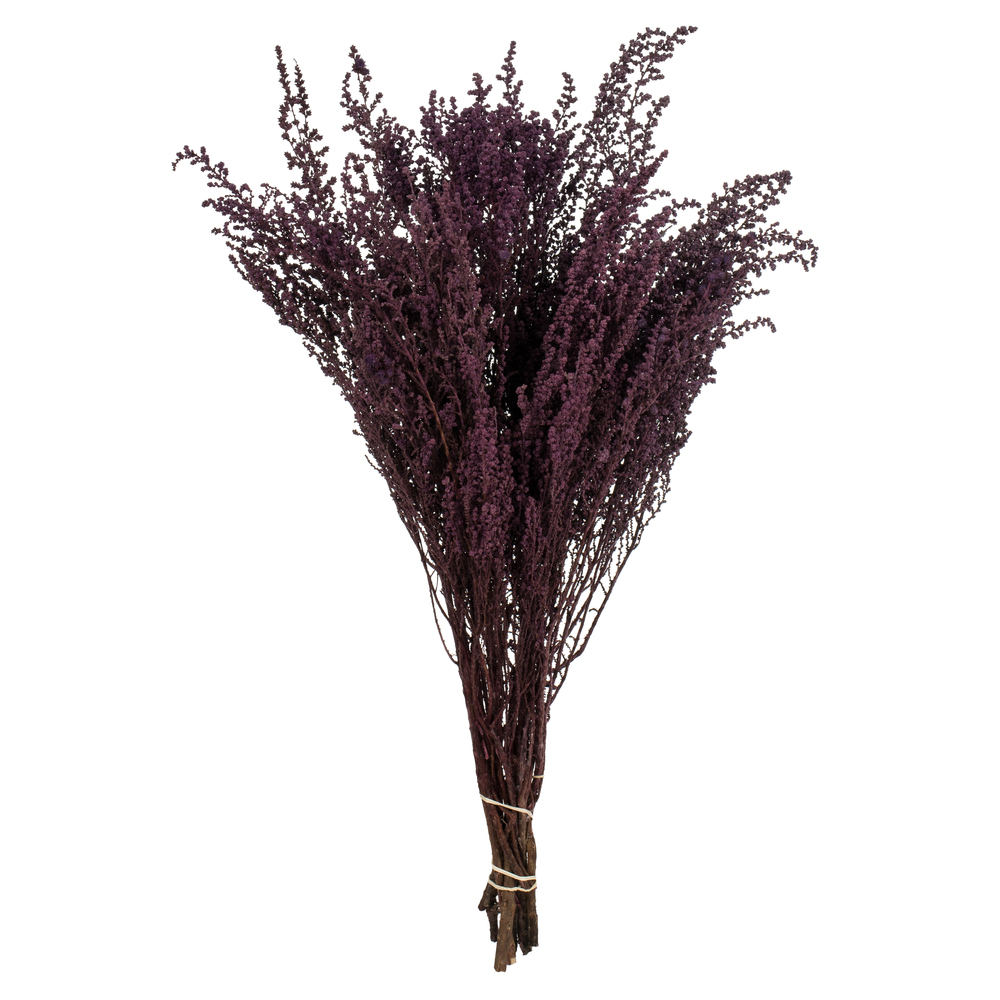 14-18 in. Violet Stoebe - 5-6 oz Bundle