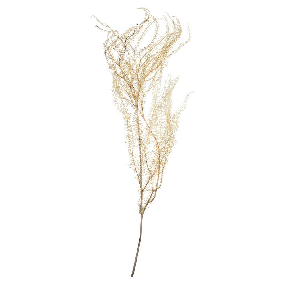 26 in. Bleached Fern - 4 oz Andares
