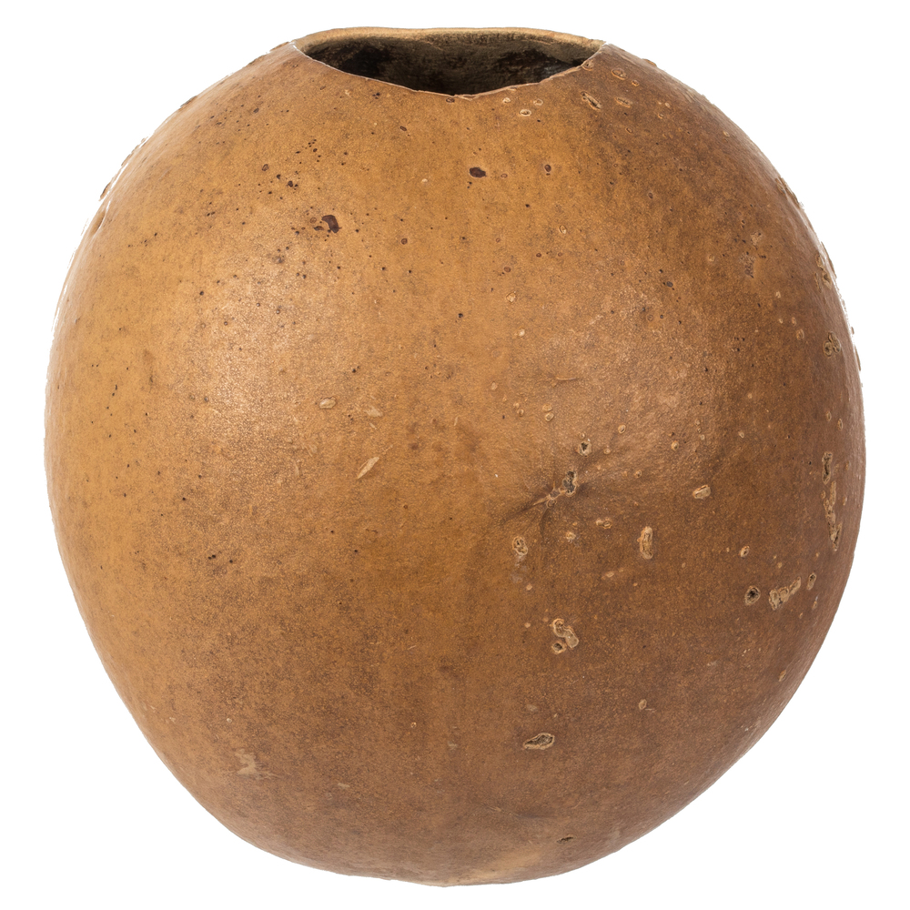 6-7 x 6-8 in. Natural Bacacuia Gourd