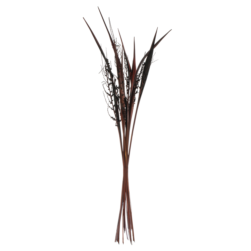 36-40 in. Dark Brown Bahia Spears with Seeds