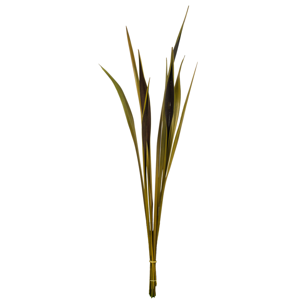 Vickerman 650288-36-40" Basil Bahia Spears - 9/Pk (H2BNS100) Dried and Preserved Branches