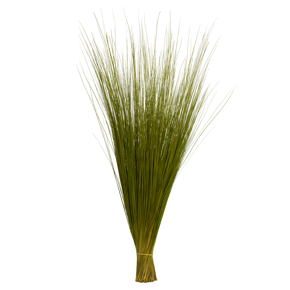35-40 in. Basil Bright Grass - 8 oz Bundle