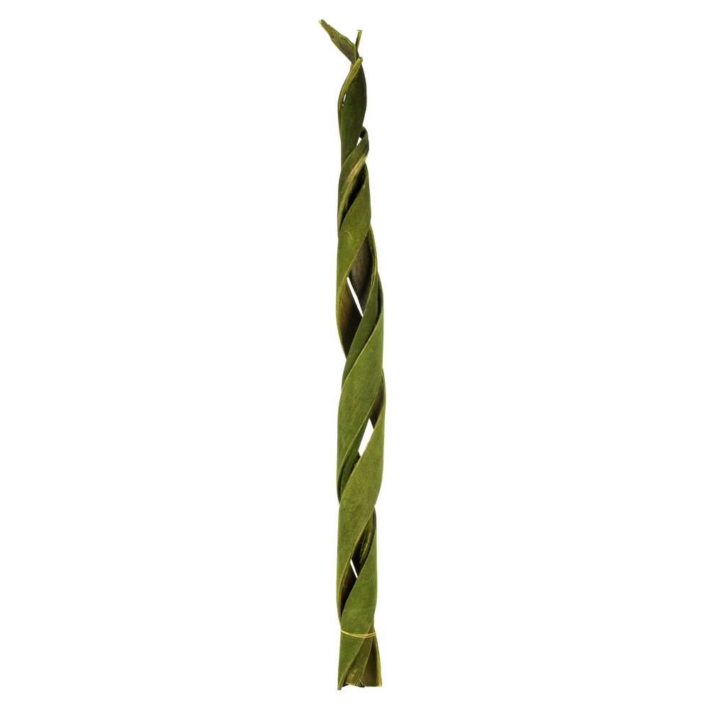45 - 48 in. Curled Basil Coco Velvet Stems
