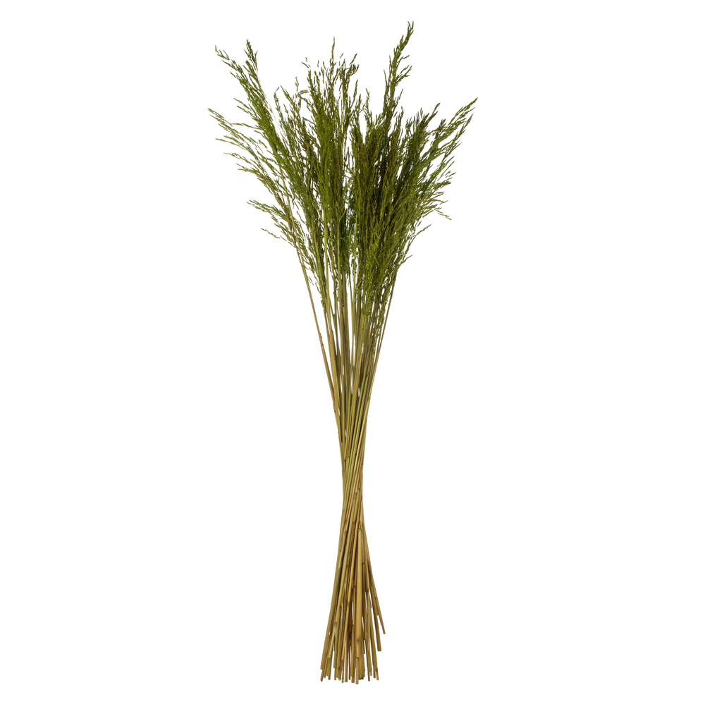 36-40 in. Green Congo Grass - 8 oz Bundle