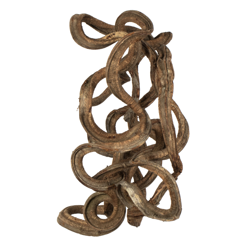 Natural Coiled Vine