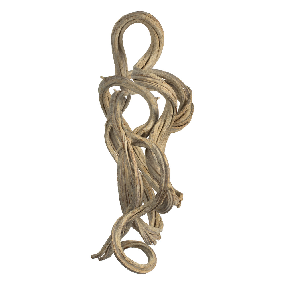 H2COV999 Bleached Coiled Vine