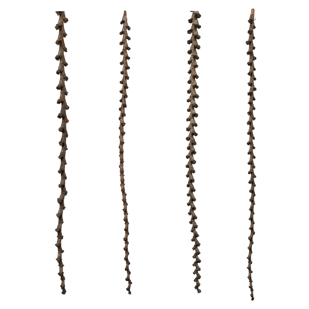 40-48 in. Natural Ladder Branches - Extra Large