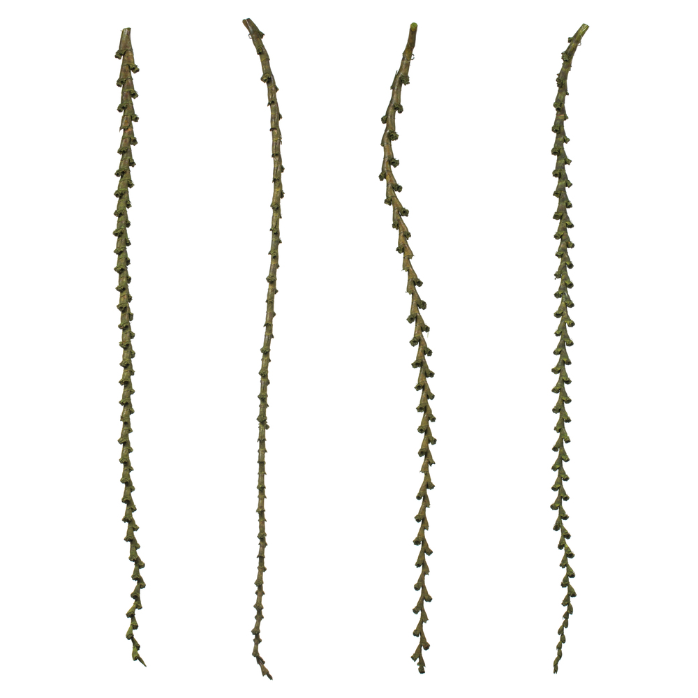 40-48 in. Basil Ladder Branches - Extra Large
