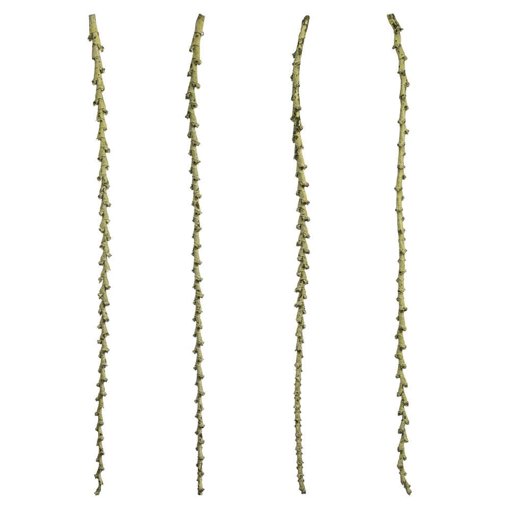 40-48 in. Spring Green Ladder Branches - Extra Large