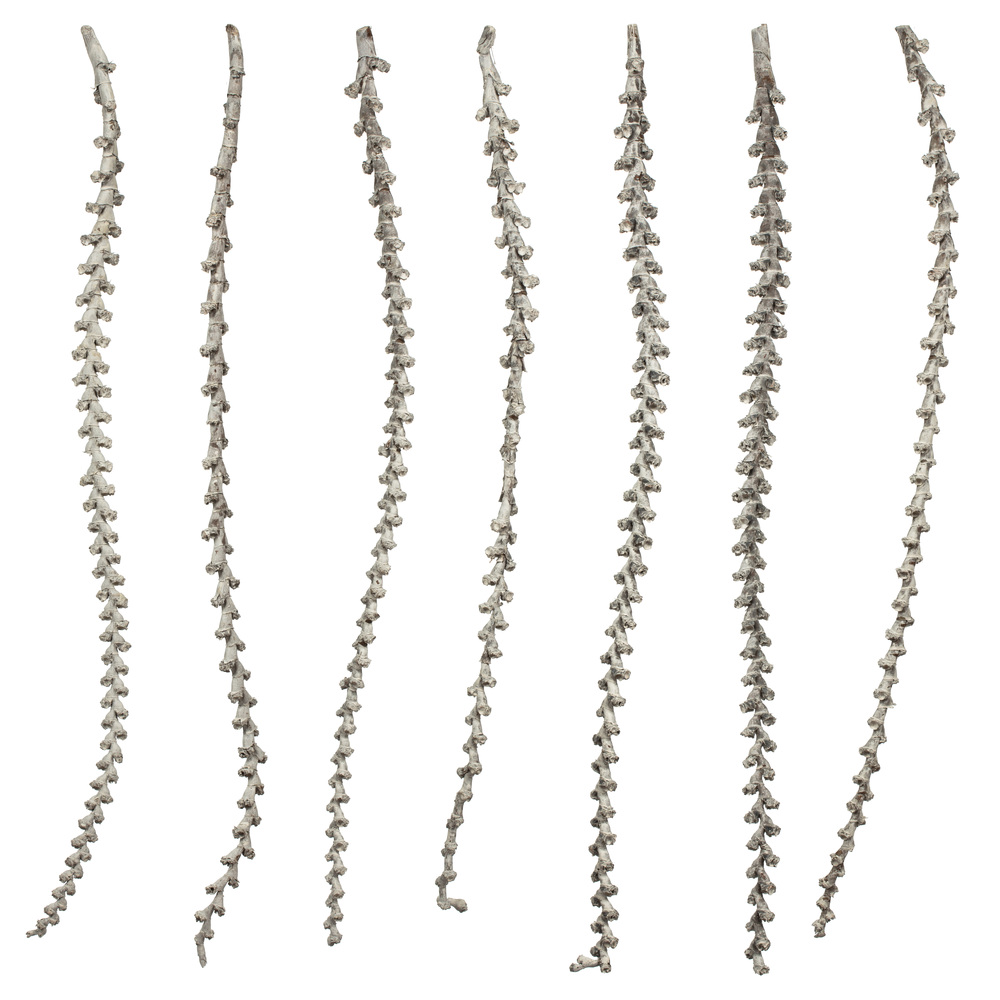 40-48 in. Light White Wash Ladder Branches - Extra Large