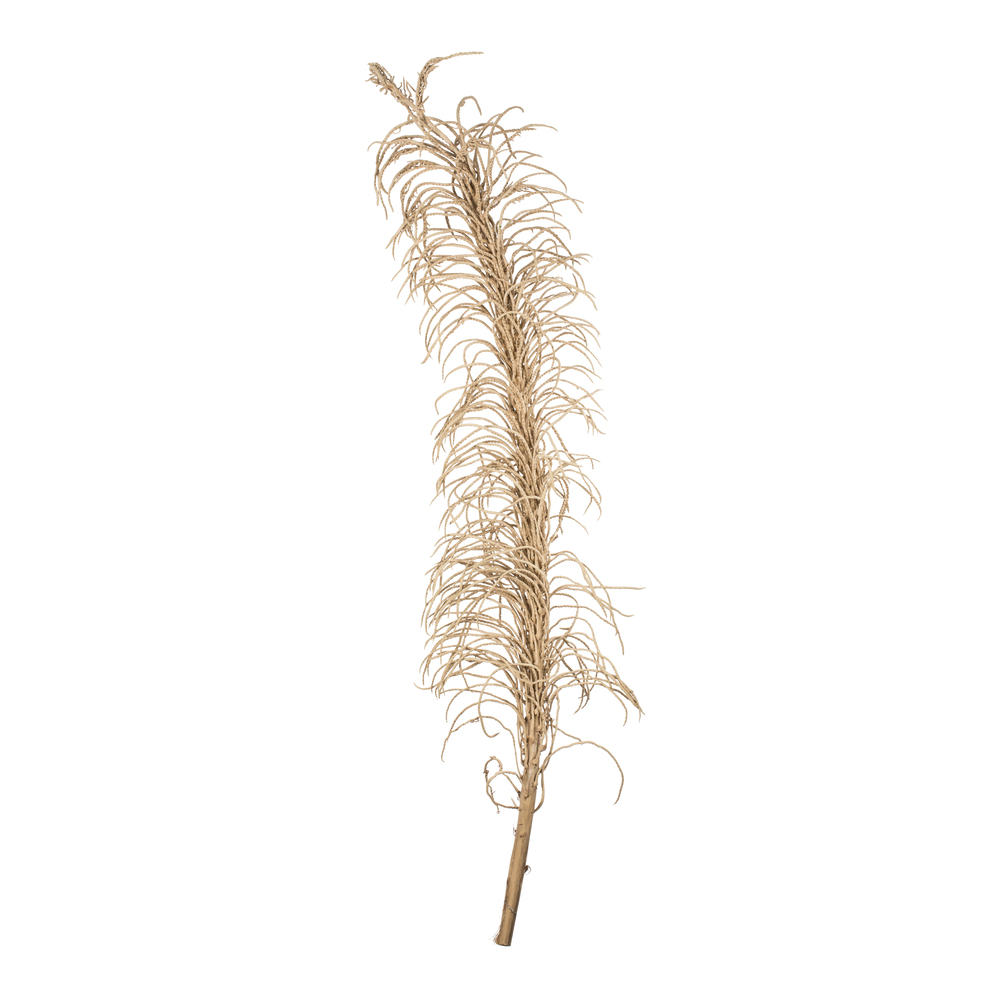 50-60 in. Natural Medusa Branch - Long