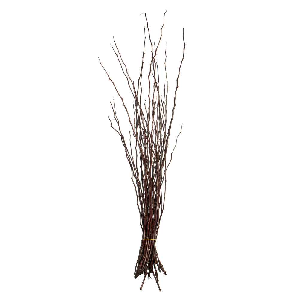 35-40 in. Brown Moneta Branches
